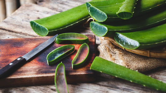 Nature's Medicine: Aloe Vera's History and Benefits