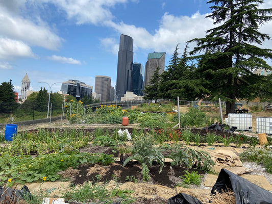 Happy Black History Month! | Black Leaders in Organic Farming