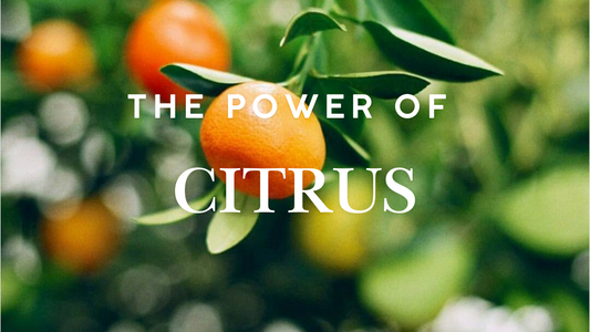 Skin and Beard Benefits of Citrus Fruits in Skincare and Grooming