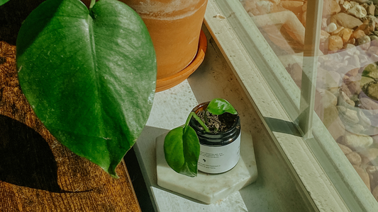 From Product to Planter - How to Repurpose Your Skincare Containers