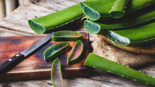 Nature's Medicine: Aloe Vera's History and Benefits