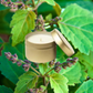 Signature Candles - ILERA Apothecary 