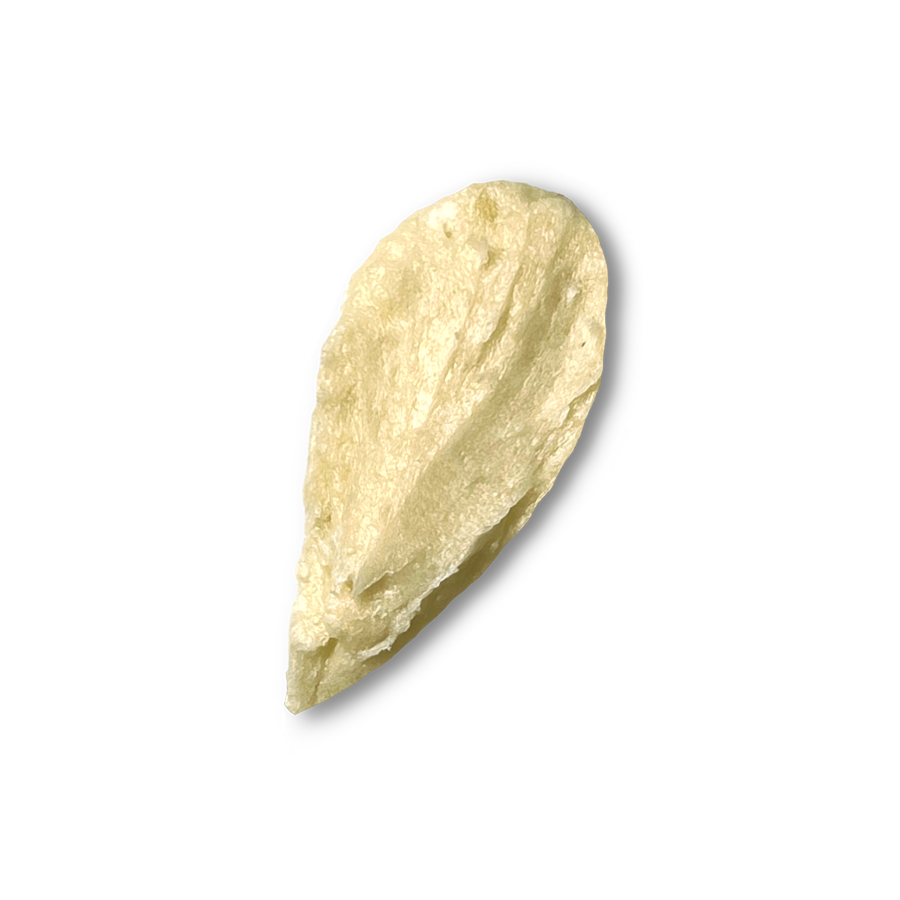 Shea Butter with Vitamin E - ILERA Apothecary 