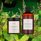 The Nostalgia Bundle - ILERA Apothecary 
